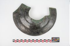 Foto von Bronzephalere (NHMW-PRAE-025561)